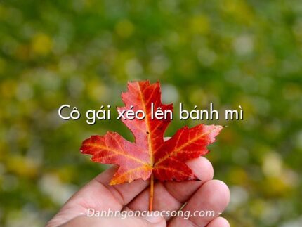 Cô gái xéo lên bánh mì