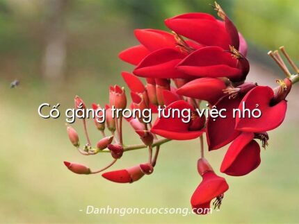 Cố gắng trong từng việc nhỏ