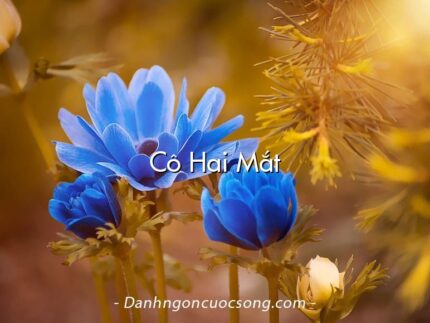Cô Hai Mắt