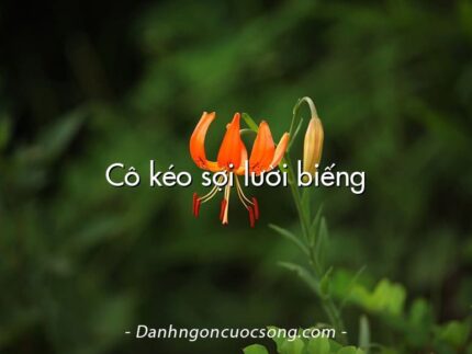 Cô kéo sợi lười biếng