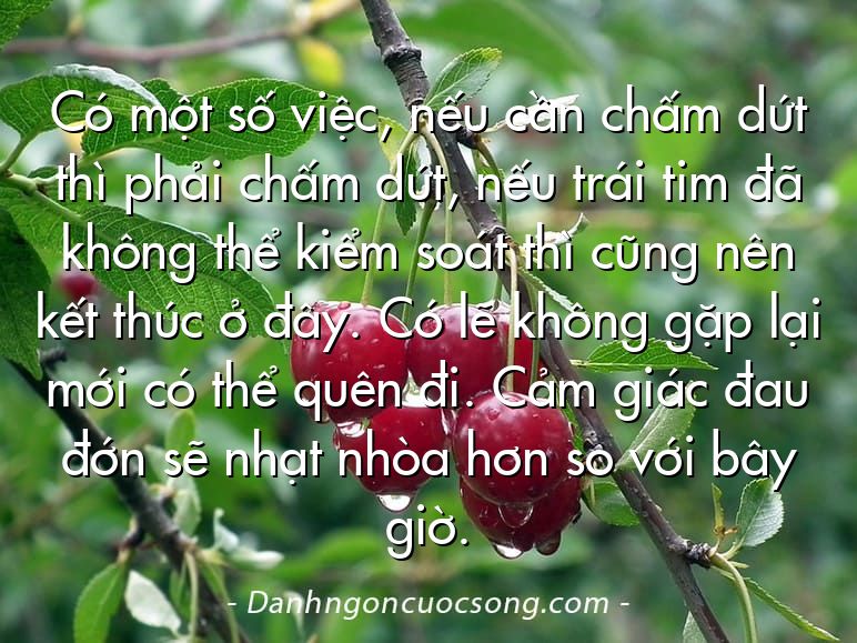 Có một số việc, nếu cần chấm dứt thì phải chấm dứt, nếu trái tim đã không thể kiểm soát thì cũng nên kết thúc ở đây. Có lẽ không gặp lại mới có thể quên đi. Cảm giác đau đớn sẽ nhạt nhòa hơn so với bây giờ.