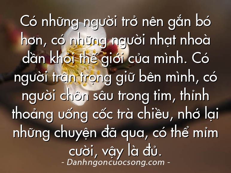 Có những người trở nên gắn bó hơn, có những người nhạt nhoà dần khỏi thế giới của mình. Có người trân trọng giữ bên mình, có người chôn sâu trong tim, thỉnh thoảng uống cốc trà chiều, nhớ lại những chuyện đã qua, có thể mỉm cười, vậy là đủ.