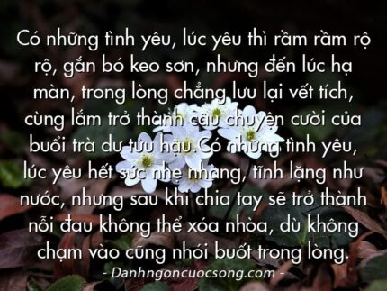 Có những tình yêu, lúc yêu thì rầm rầm rộ rộ, gắn bó keo sơn, nhưng đến lúc hạ màn, trong lòng chẳng lưu lại vết tích, cùng lắm trở thành câu chuyện cười của buổi trà dư tửu hậu.Có những tình yêu, lúc yêu hết sức nhẹ nhàng, tĩnh lặng như nước, nhưng sau khi chia tay sẽ trở thành nỗi đau không thể xóa nhòa, dù không chạm vào cũng nhói buốt trong lòng.