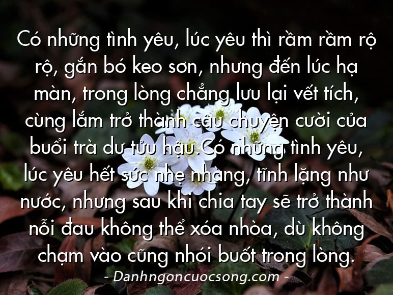 Có những tình yêu, lúc yêu thì rầm rầm rộ rộ, gắn bó keo sơn, nhưng đến lúc hạ màn, trong lòng chẳng lưu lại vết tích, cùng lắm trở thành câu chuyện cười của buổi trà dư tửu hậu.Có những tình yêu, lúc yêu hết sức nhẹ nhàng, tĩnh lặng như nước, nhưng sau khi chia tay sẽ trở thành nỗi đau không thể xóa nhòa, dù không chạm vào cũng nhói buốt trong lòng.