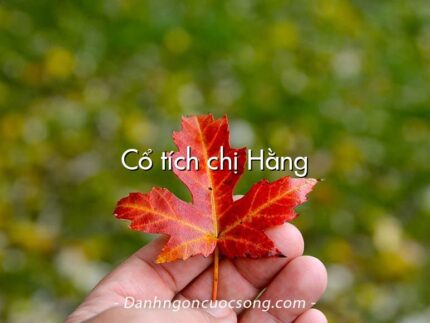 Cổ tích chị Hằng