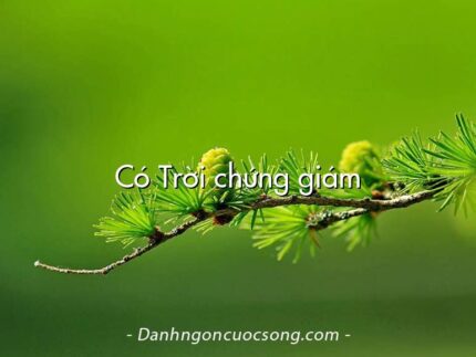 Có Trời chứng giám