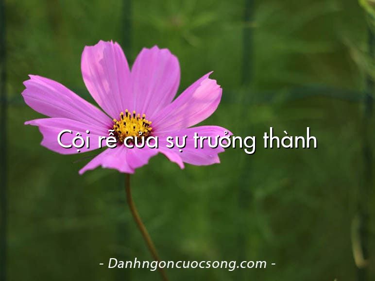 Cội rễ của sự trưởng thành