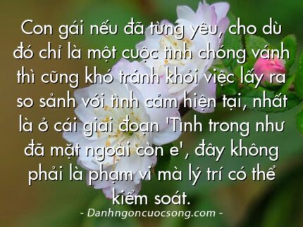 Con gái nếu đã từng yêu, cho dù đó chỉ là một cuộc tình chóng vánh thì cũng khó tránh khỏi việc lấy ra so sảnh với tình cảm hiện tại, nhất là ở cái giai đoạn 'Tình trong như đã mặt ngoài còn e', đây không phải là phạm vi mà lý trí có thể kiểm soát.