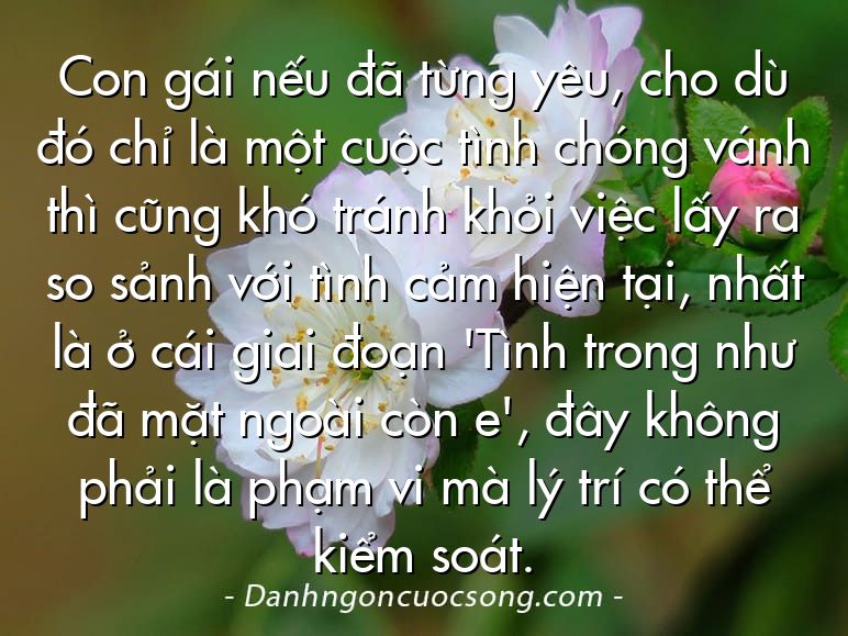 Con gái nếu đã từng yêu, cho dù đó chỉ là một cuộc tình chóng vánh thì cũng khó tránh khỏi việc lấy ra so sảnh với tình cảm hiện tại, nhất là ở cái giai đoạn 'Tình trong như đã mặt ngoài còn e', đây không phải là phạm vi mà lý trí có thể kiểm soát.