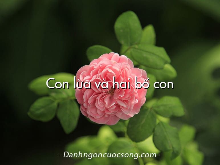 Con lừa và hai bố con