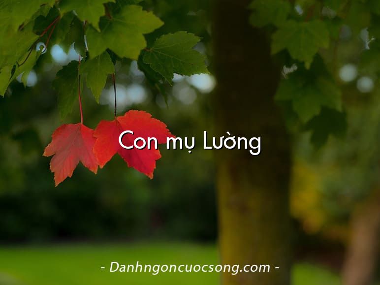 Con mụ Lường