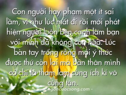 Con người hay phạm một ít sai lầm, ví như lúc mất đi rồi mới phát hiện người luôn bên cạnh làm bạn với mình đã không còn nữa. Lúc bàn tay trống rỗng mới ý thức được thứ còn lại mà bản thân mình có chỉ là tham lam cùng ích kỉ vô cùng tận.