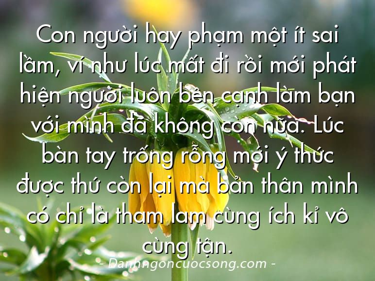Con người hay phạm một ít sai lầm, ví như lúc mất đi rồi mới phát hiện người luôn bên cạnh làm bạn với mình đã không còn nữa. Lúc bàn tay trống rỗng mới ý thức được thứ còn lại mà bản thân mình có chỉ là tham lam cùng ích kỉ vô cùng tận.