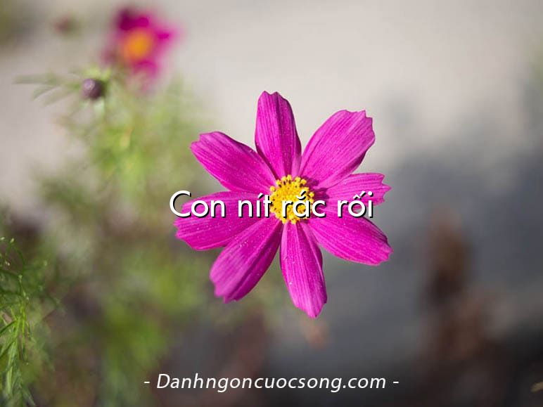Con nít rắc rối