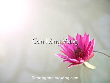 Con Rồng Vàng