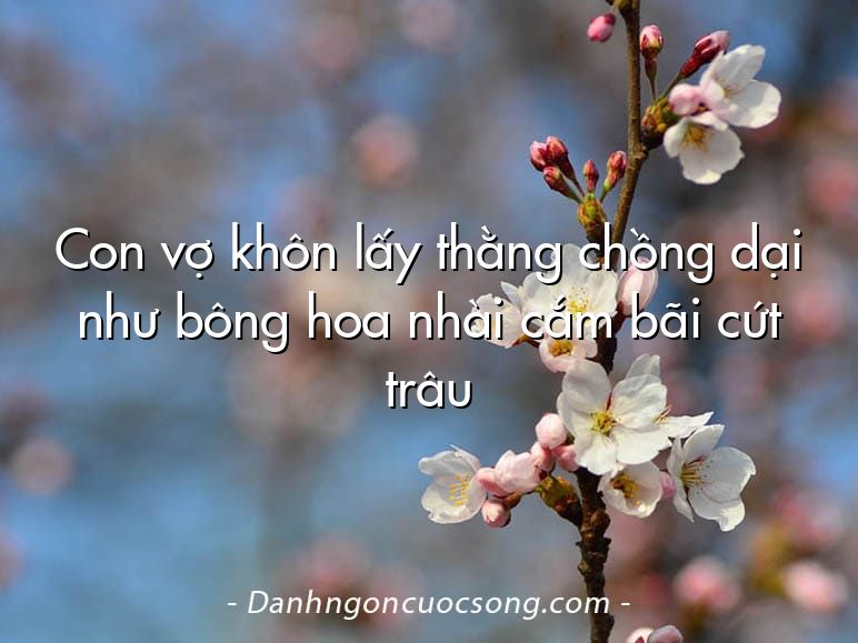 Con vợ khôn lấy thằng chồng dại như bông hoa nhài cắm bãi cứt trâu