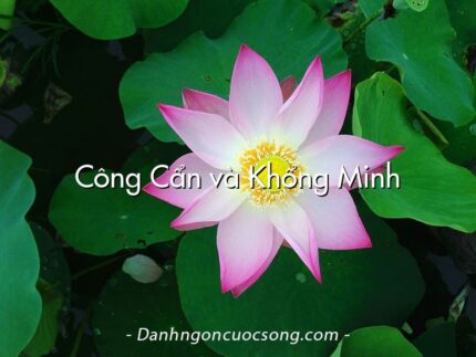 Công Cẩn và Khổng Minh