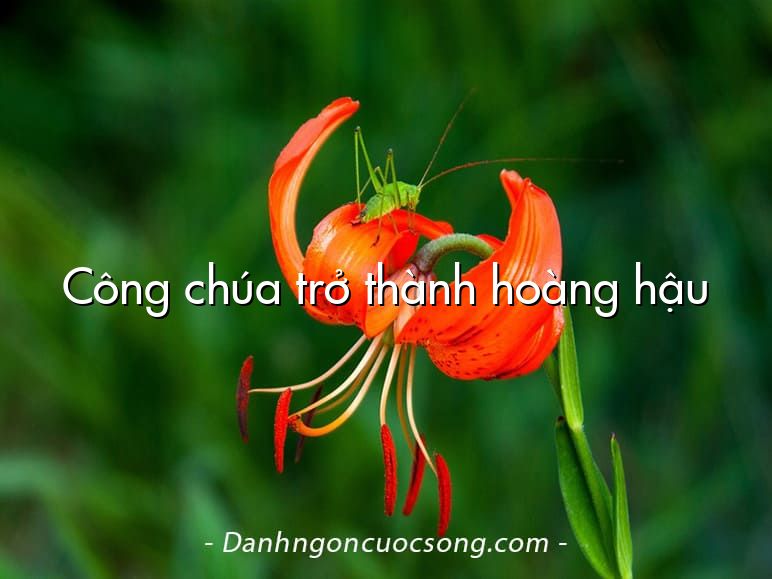 Công chúa trở thành hoàng hậu
