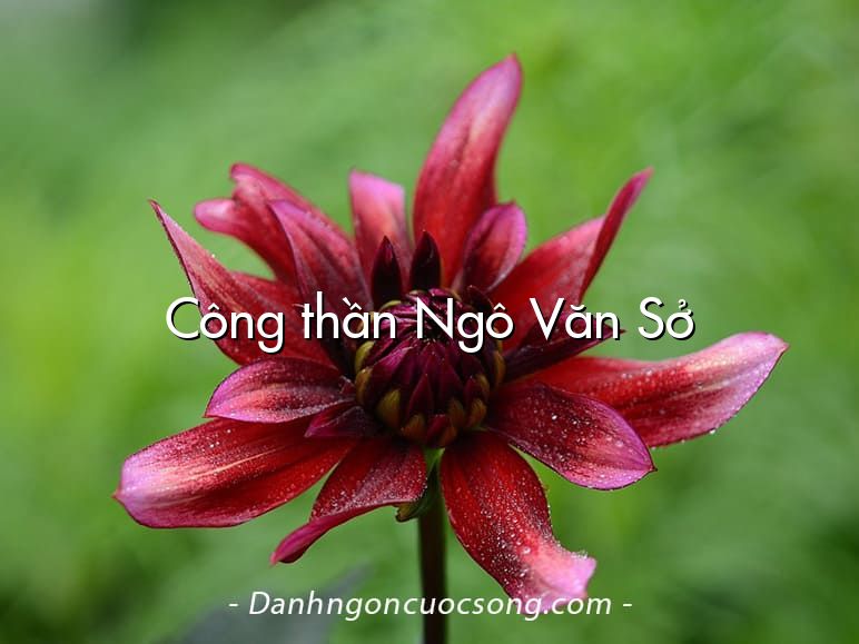 Công thần Ngô Văn Sở