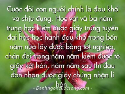 Cuộc đời con người chính là đau khổ và chịu đựng. Học vật vã ba năm trung học kiếm được giấy trúng tuyển đại học học hành đau khổ trong bốn năm nữa lấy được bằng tốt nghiệp, chán đời trong năm năm kiếm được tờ giấy kết hôn, năm năm sau thì đau đớn nhận được giấy chứng nhận li hôn.