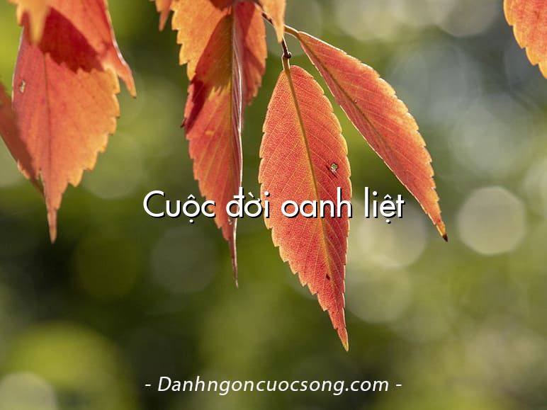 Cuộc đời oanh liệt