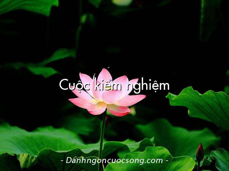 Cuộc kiểm nghiệm
