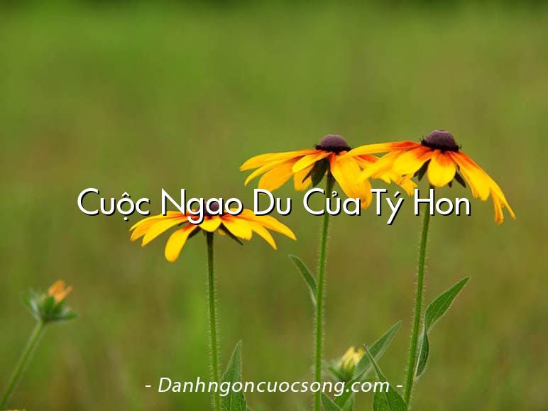 Cuộc Ngao Du Của Tý Hon