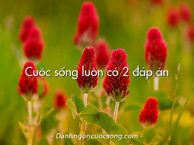 Cuộc sống luôn có 2 đáp án