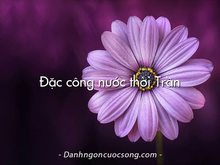 Đặc công nước thời Trần