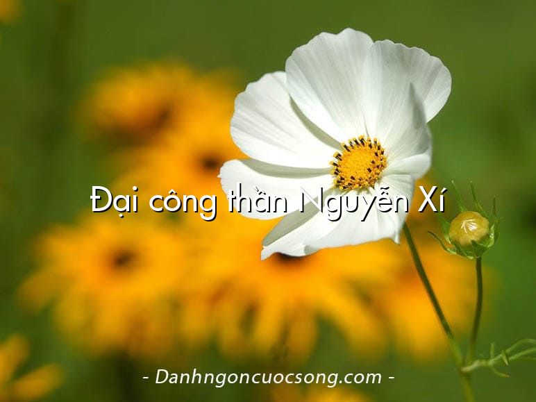 Đại công thần Nguyễn Xí