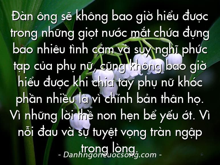 Đàn ông sẽ không bao giờ hiểu được trong những giọt nước mắt chứa đựng bao nhiêu tình cảm và suy nghĩ phức tạp của phụ nữ, cũng không bao giờ hiểu được khi chia tay phụ nữ khóc phần nhiều là vì chính bản thân họ. Vì những lời thề non hẹn bể yếu ớt. Vì nỗi đau và sự tuyệt vọng tràn ngập trong lòng.