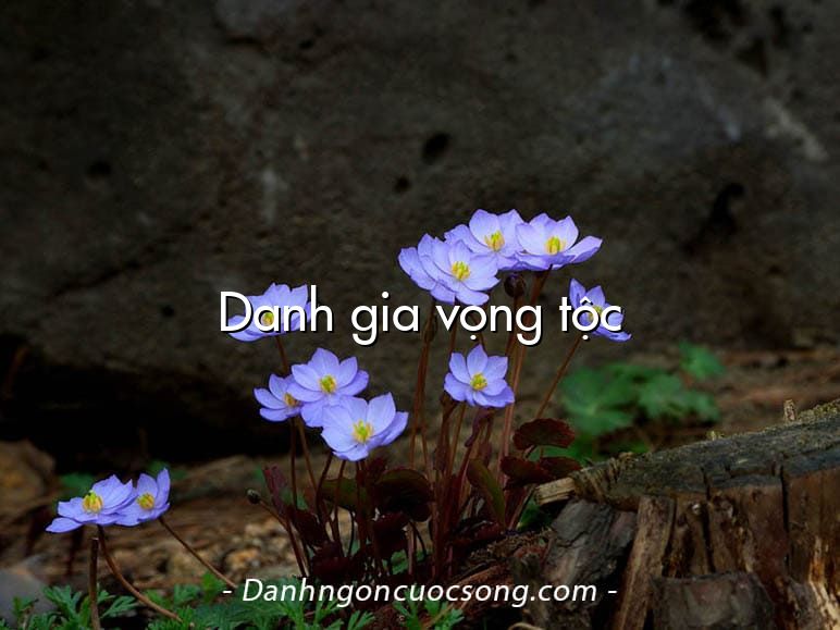 Danh gia vọng tộc