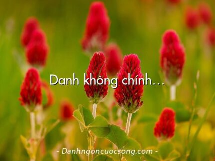Danh không chính…
