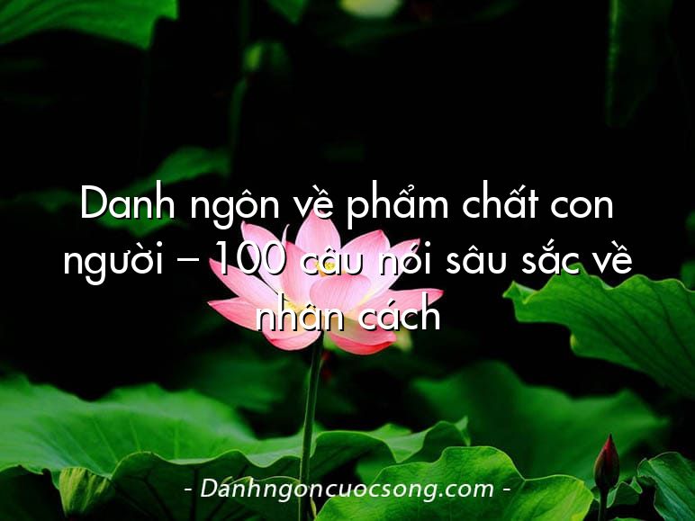 Danh ngôn về phẩm chất con người – 100 câu nói sâu sắc về nhân cách