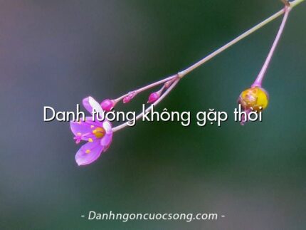 Danh tướng không gặp thời