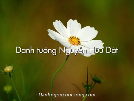 Danh tướng Nguyễn Hữu Dật