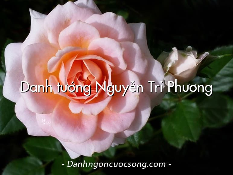 Danh tướng Nguyễn Tri Phương