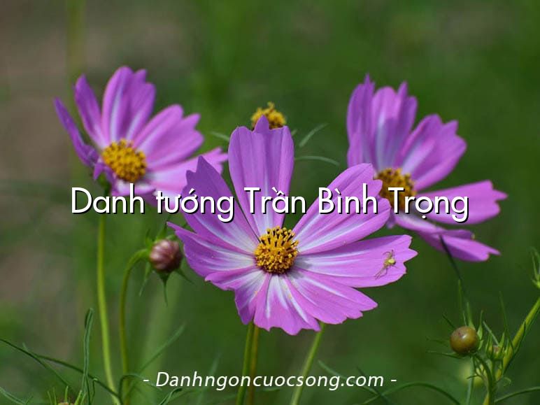 Danh tướng Trần Bình Trọng