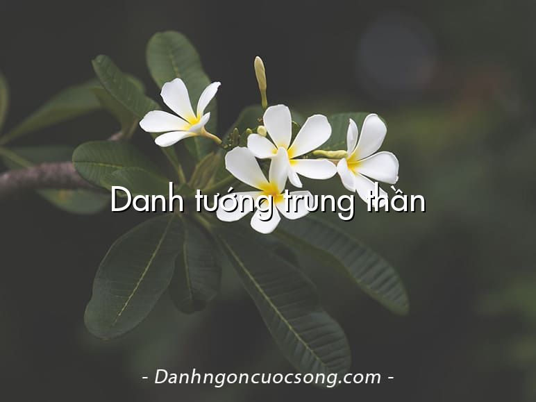 Danh tướng trung thần