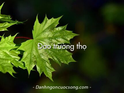 Đào trường thọ