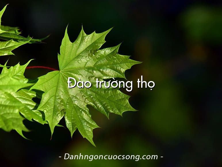 Đào trường thọ