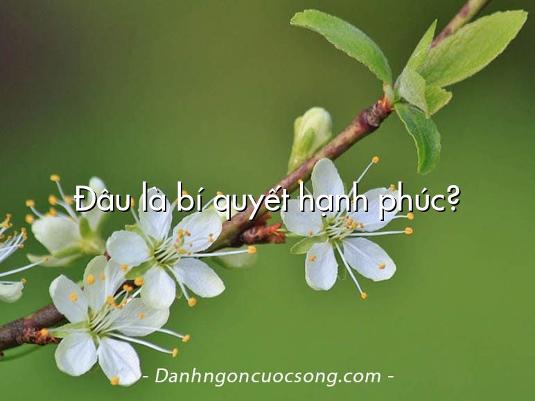Đâu là bí quyết hạnh phúc?