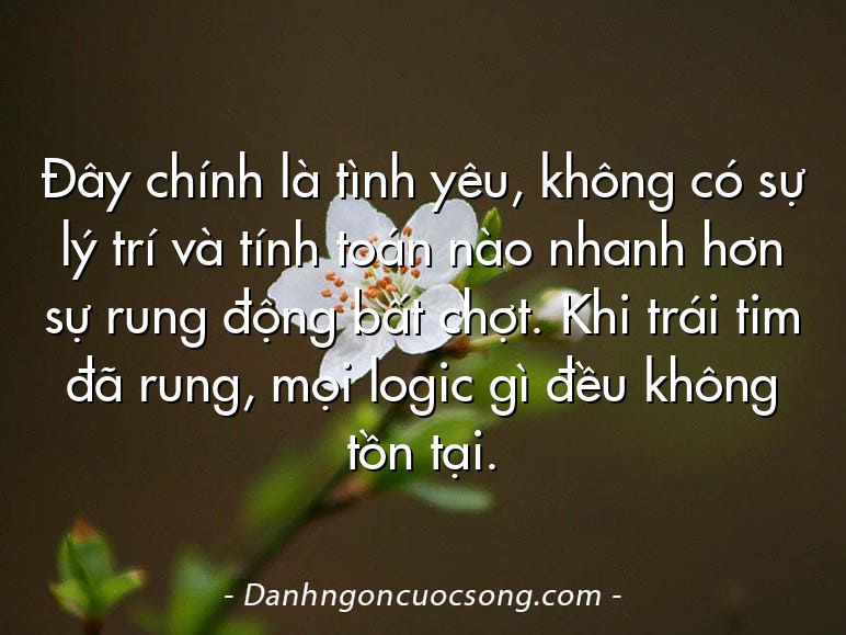 Đây chính là tình yêu, không có sự lý trí và tính toán nào nhanh hơn sự rung động bất chợt. Khi trái tim đã rung, mọi logic gì đều không tồn tại.