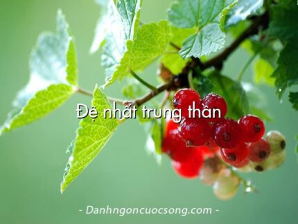 Đệ nhất trung thần