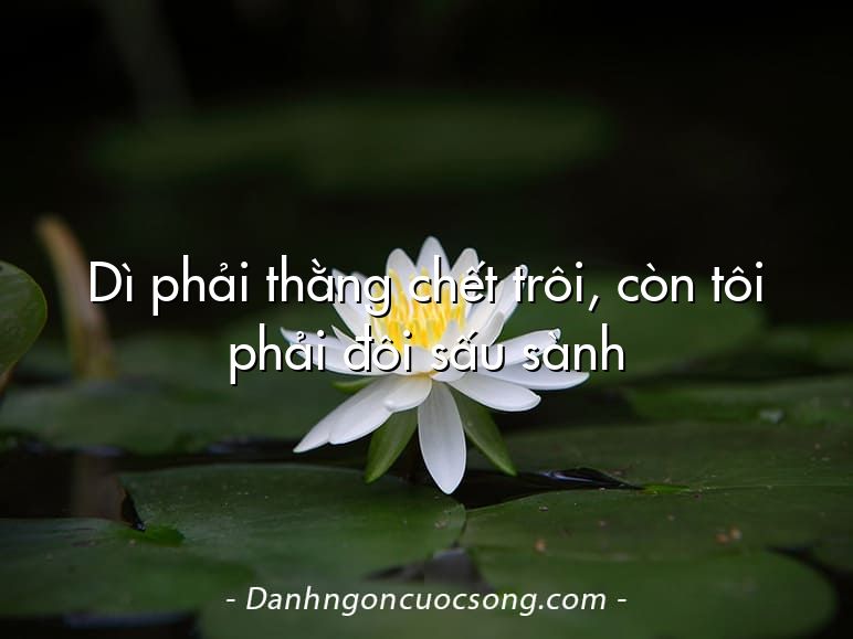 Dì phải thằng chết trôi, còn tôi phải đôi sấu sành