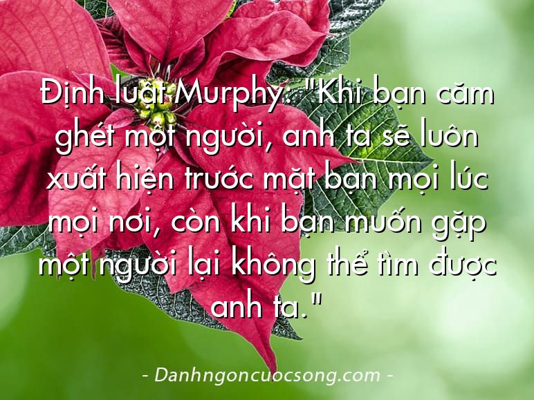 Định luật Murphy: "Khi bạn căm ghét một người, anh ta sẽ luôn xuất hiện trước mặt bạn mọi lúc mọi nơi, còn khi bạn muốn gặp một người lại không thể tìm được anh ta."
