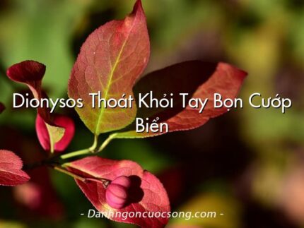 Dionysos Thoát Khỏi Tay Bọn Cướp Biển