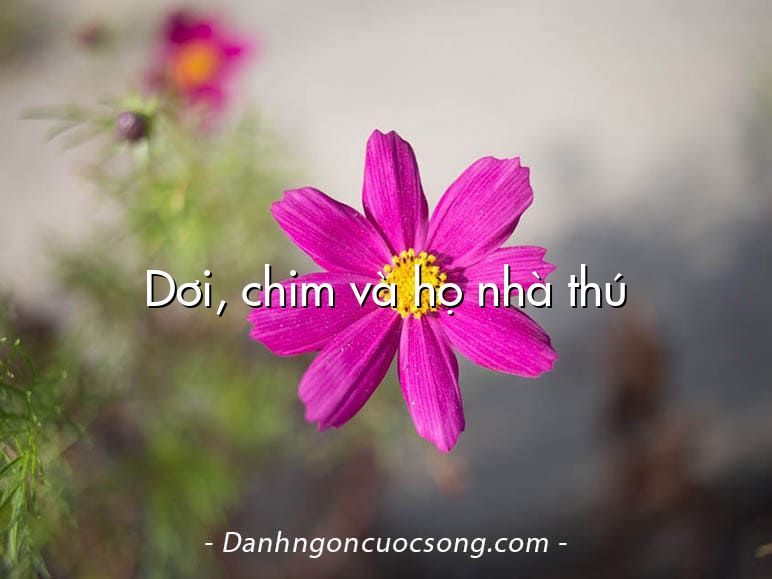 Dơi, chim và họ nhà thú