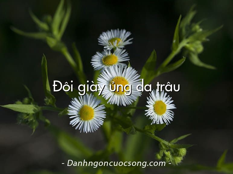 Đôi giày ủng da trâu