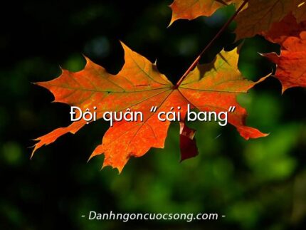 Đội quân “cái bang”